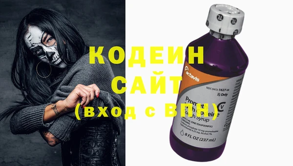 молекула духа Волосово