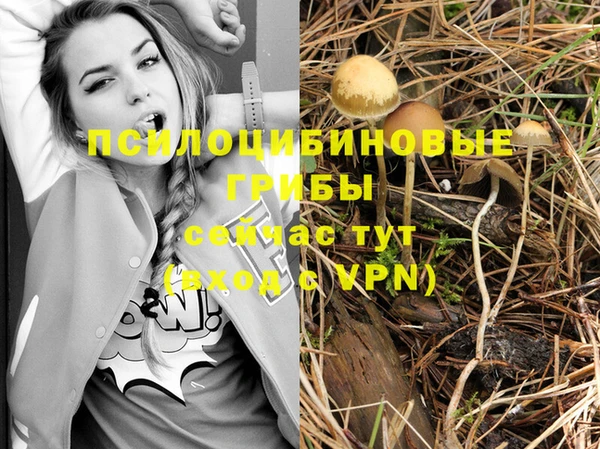 винт Волоколамск